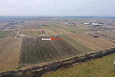 5 PARCELE PENTRU CASA | ZONA REZIDENTIALA I DEZVOLTARE | CIHEI - 3