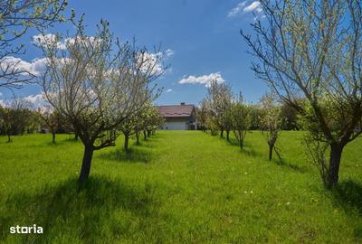 Casă cu 4 camere în Valea Mare - 11