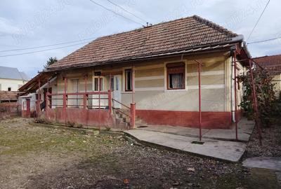 Casa locuibila, cu doua corpuri de cladiri, utilita?i, 1200 mp teren - 1