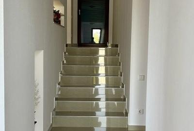 Casă individuală cu 4 camere cu Piscina în Sânandrei - 14