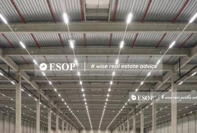 Spațiu industrial, de 3,000 mp, în Ariceștii Rahtivani - 2