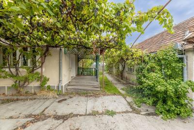 Casa spatioasa in Pancota ideala pentru doua familii - 21