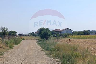 Teren 650mp Ghermanesti / Strada Milcov - 3
