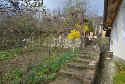 Casa de vanzare zona Viilor, Sighisoara - 13