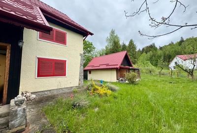 Vila vacanta Cheia - Prahova, pretabila pentru investitie - 19