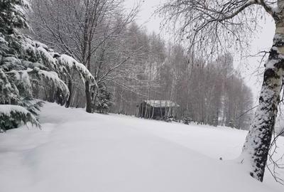 Teren de 11125 mp, în Râșca - 4