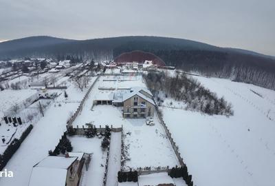Casă cu 4 camere cu Teren 3700 Mp în Ivănești - 6