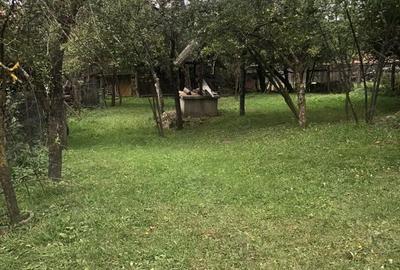 Casă cu 2 camere în Mărtănuș - 8