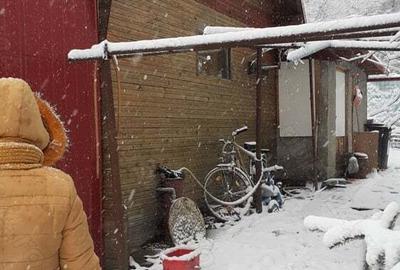 Casa teren intravilan 2800 mp - 5