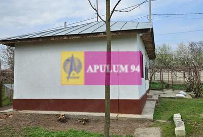 GIURGIU - COM. BUCSANI (SAT OBEDENI) CASA 2 CAM DE VANZARE - 11