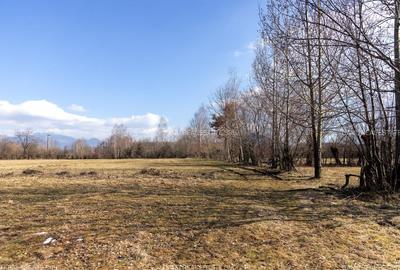 Teren Construcții intravilan de 5967 mp, în Bran - 9
