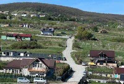 Teren de 5300 mp, în Baciu - 5