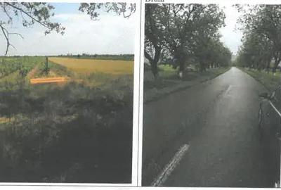 Teren extravilan Pietroasele, ID: R2586802 - 8