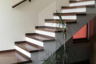 Casă cu 5 camere cu Teren 780 Mp în Șag - 5