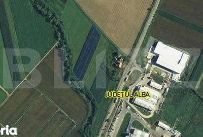 Teren de 3000 mp, în Galda de Jos - 1