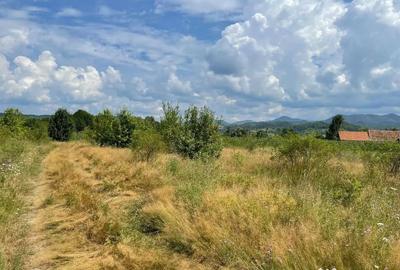 Teren de 3382 mp, în Meziad - 2