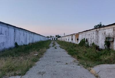 Hale industriale, 7000 mp, Pielesti - 2