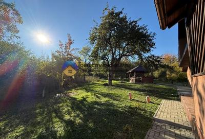 Casa + teren de vanzare - Almas - 9