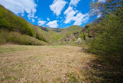 Teren intravilan de 9191 mp, în Agârbiciu - 2