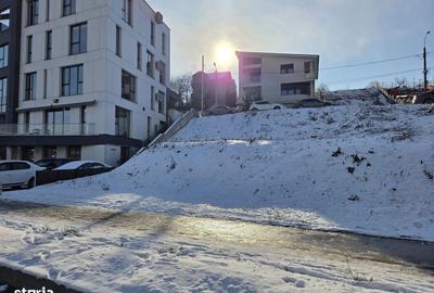Spațiu comercial, în Frații Golești - 3