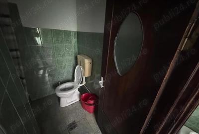 Casă în Traian - 1