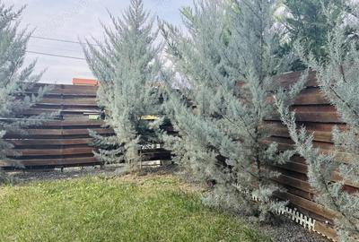 COMISION 0% | 2 camere + 28 mp terasa + 4 locuri de parcare | Braytim - 9