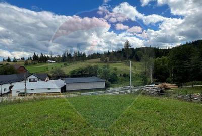 Teren 4397 mp Intravilan Manastirea Humorului / Lunga Buc... - 3