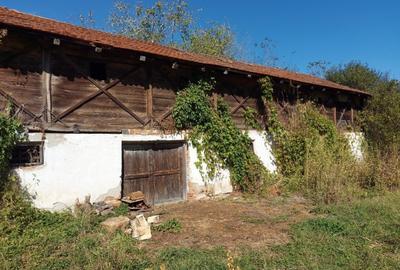 Teren Construcții intravilan de 11414 mp, în Andreești - 3