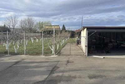 Vand casa in Timi?oara - 2