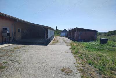 Spațiu comercial, de 972 mp, în Mișca - 13