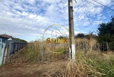 Teren Construcții intravilan de 3905 mp, în Manasia - 4