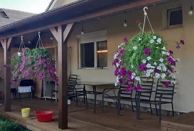 Casă cu 3 camere în Oșorhei - 7