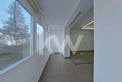 Birou, de 27 mp, în Centrul Civic - 3