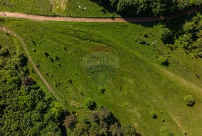 Teren agricol extravilan de 1375 mp, în Cristian - 8