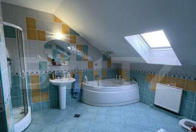 Casă cu 7 camere cu Teren 1217 Mp în Platou - 4