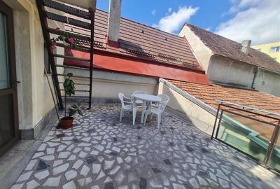 Poveste saseasca la umbra vitei de vie, cu crama si gradina cu flori, Central Co - 40