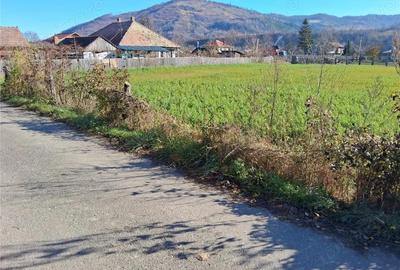 Teren intravilan Stejaru, 1700mp - 4