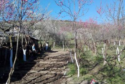 Casă cu 3 camere în Vintere - 8