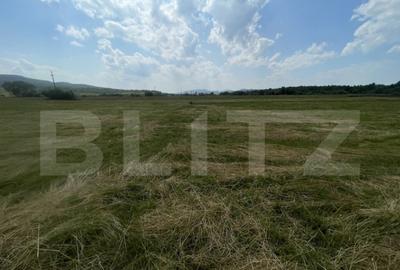 Teren extravilan 1200 mp Dorolea, aproape de Manastire - 2