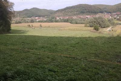 Teren de 5600 mp, în Nord - 9