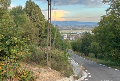 Teren de 1076 mp, în Tăuții-Măgherăuș - 2