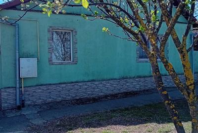 Casă cu 4 camere în Macea