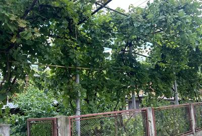 Casa de vanzare ,Verseni, comuna Miroslove?ti, jud. Ia?i - 8