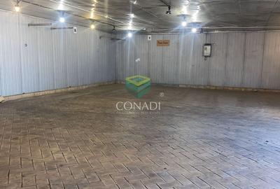 Spațiu de depozitare și birouri de inchiriat - Zona Vama Chitila - 4