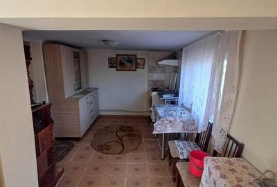 Casa sat NEDELEA + teren 2660 mp - 24