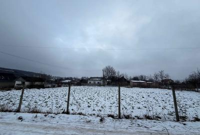 Spațiu comercial, în Fetești - 7