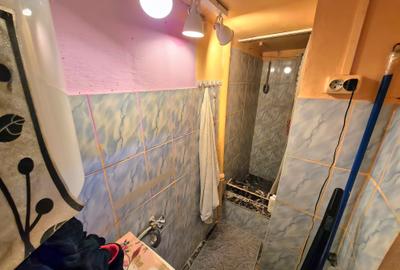 Apartament cu 1 cameră, zona Bălcescu, spațios, cu grădină - 8