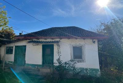 Casa batraneasca de vanzare, Oltina, Constanta, teren 1100mp, aproape de Dunare - 9