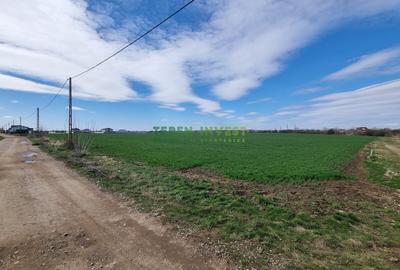 Teren Construcții intravilan de 22000 mp, în Săftica - 10