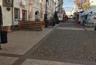 Spațiu comercial, de 22 mp, în Exterior Vest - 2